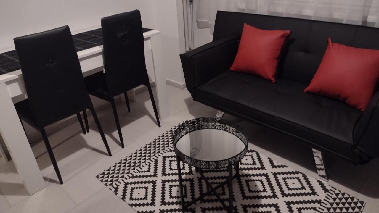 Apartament Elegant 卡托维兹 外观 照片
