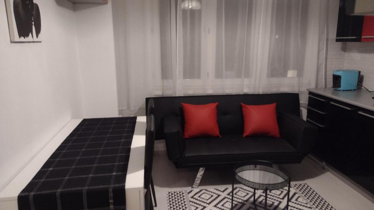 Apartament Elegant 卡托维兹 外观 照片