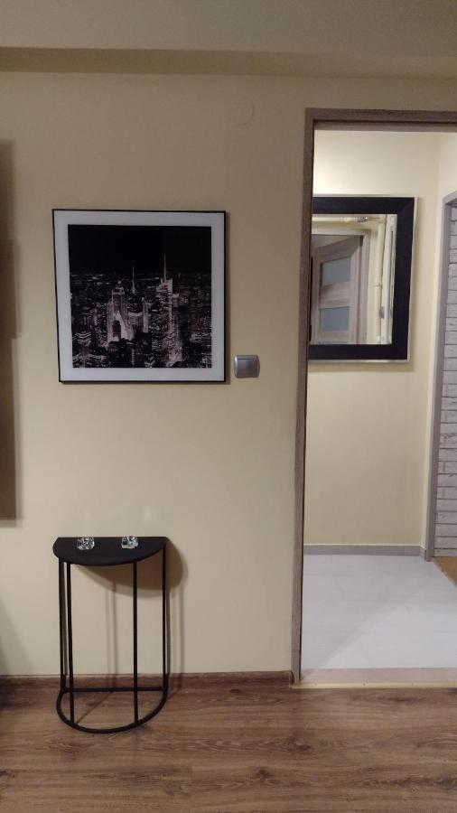 Apartament Elegant 卡托维兹 外观 照片